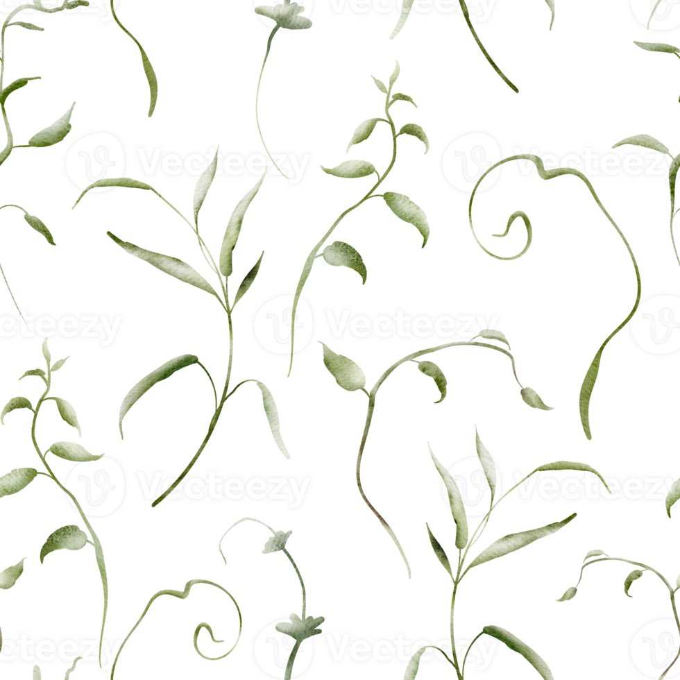 Herbal Watercolor seamless pattern. Backdrop herb are hand drawn on a white background. Simple ornament texture of twigs and green plant. Design of wrapping paper and textiles png