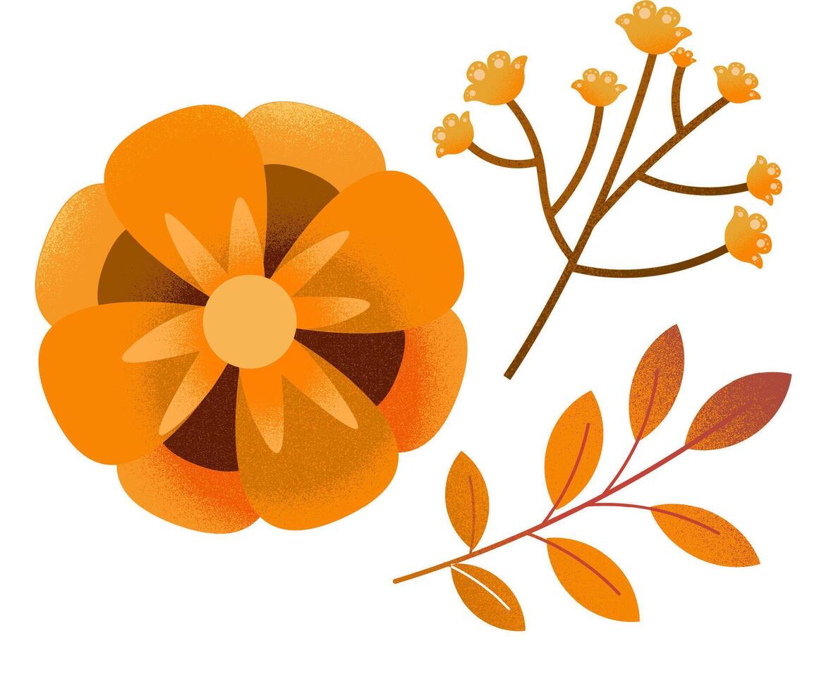 A set of realistic autumn leaves and flowers. vector