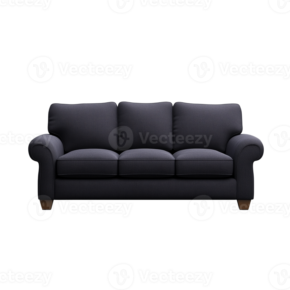 Modern dark gray sofa with rolled arms displayed against a transparent background, showing minimalist style and comfort. png