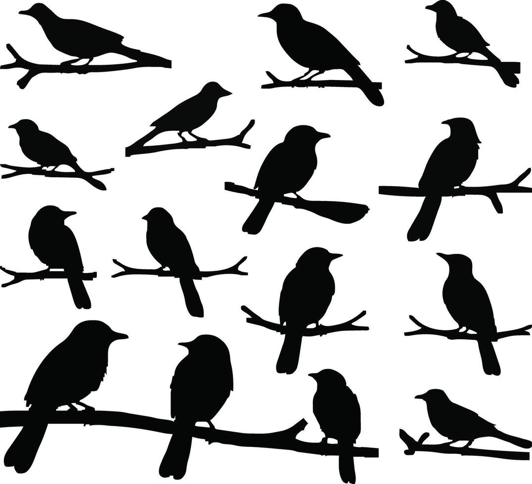 Flat design of Birds on branch silhouette vector