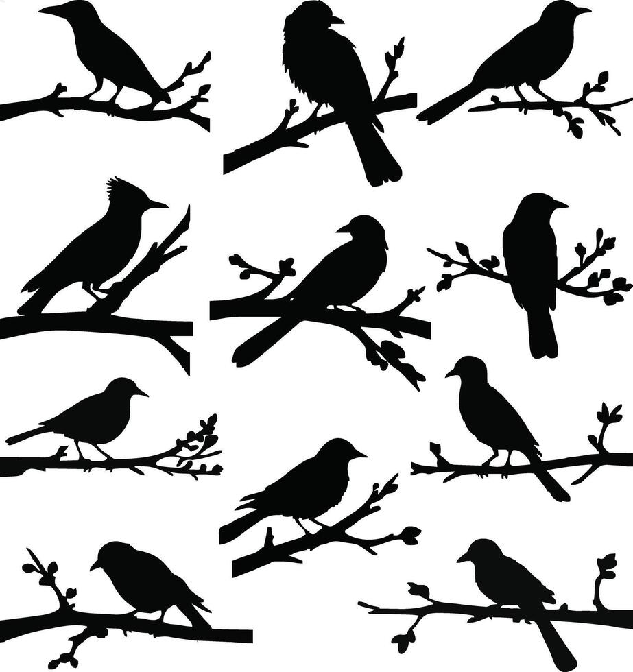 Unique Collection Of Birds on branch silhouette vector