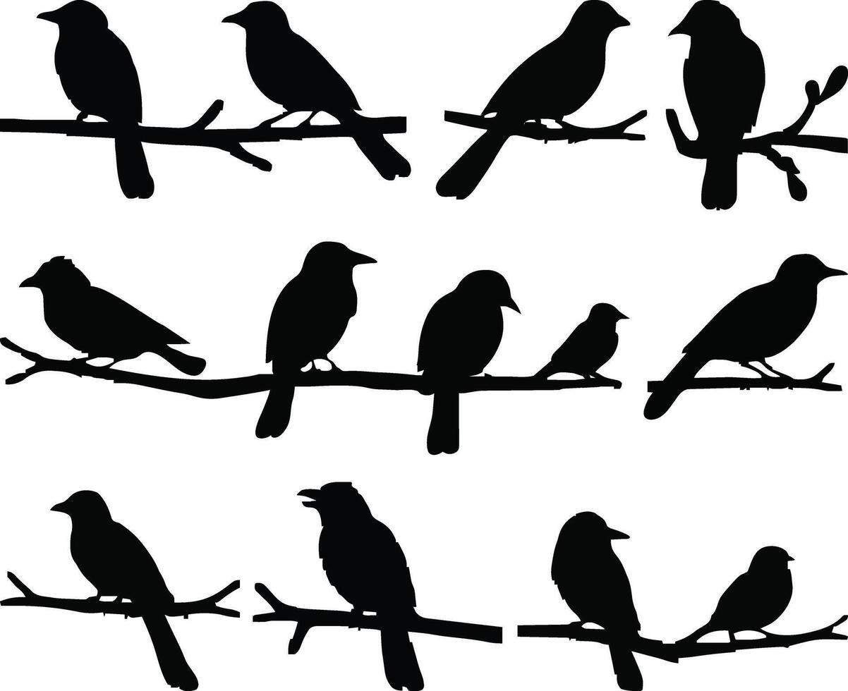 Elegant set of Birds on branch silhouette vector