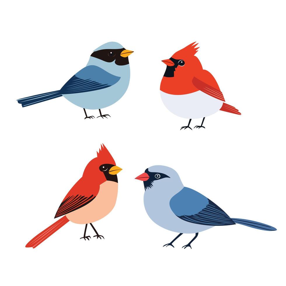 Set of illustration of winter birds on white background vector