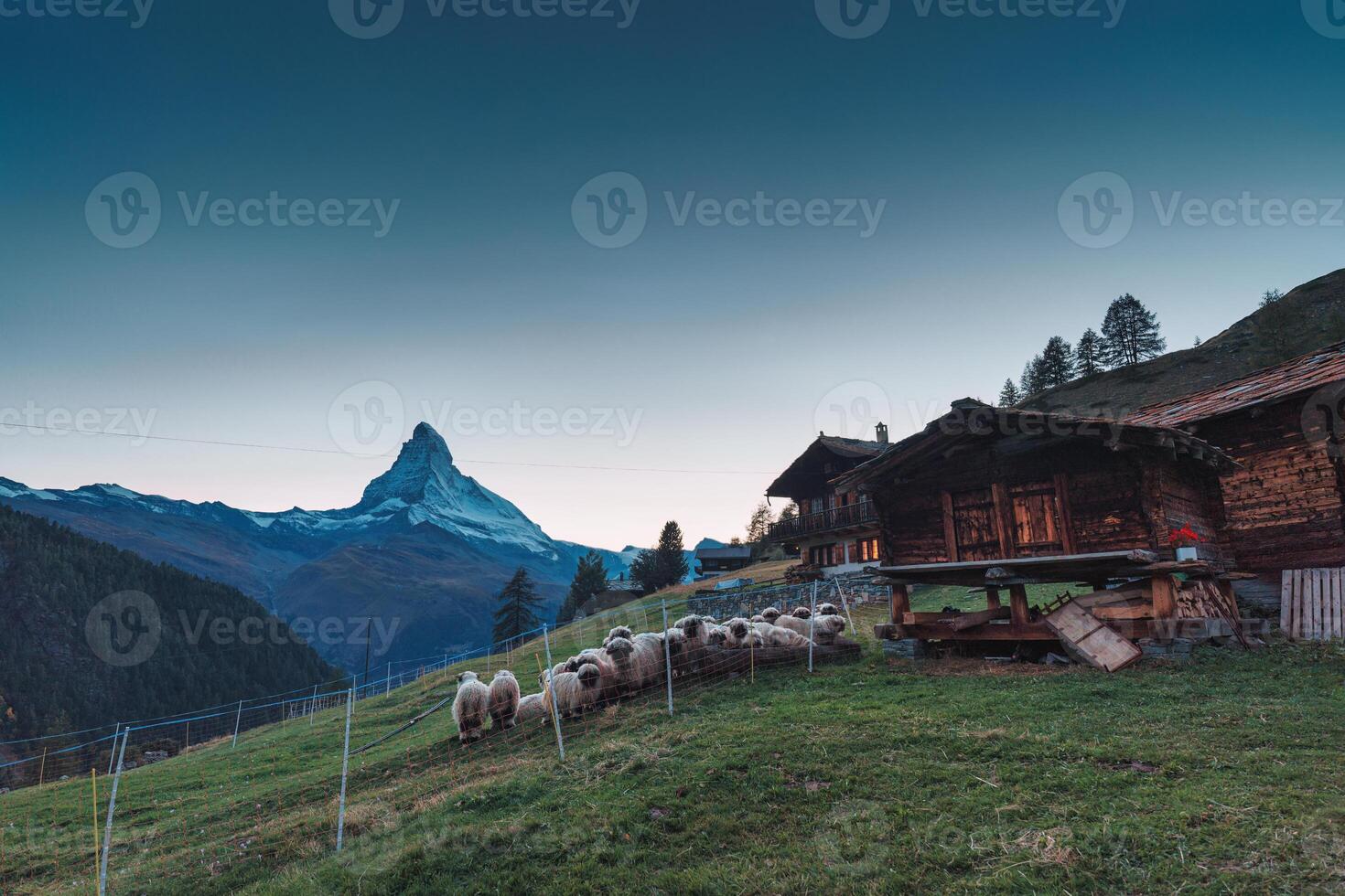 Matterhorn iconic mountain with Valais blacknose sheep and wooden hut on hill at Zermatt, Switzerland photo