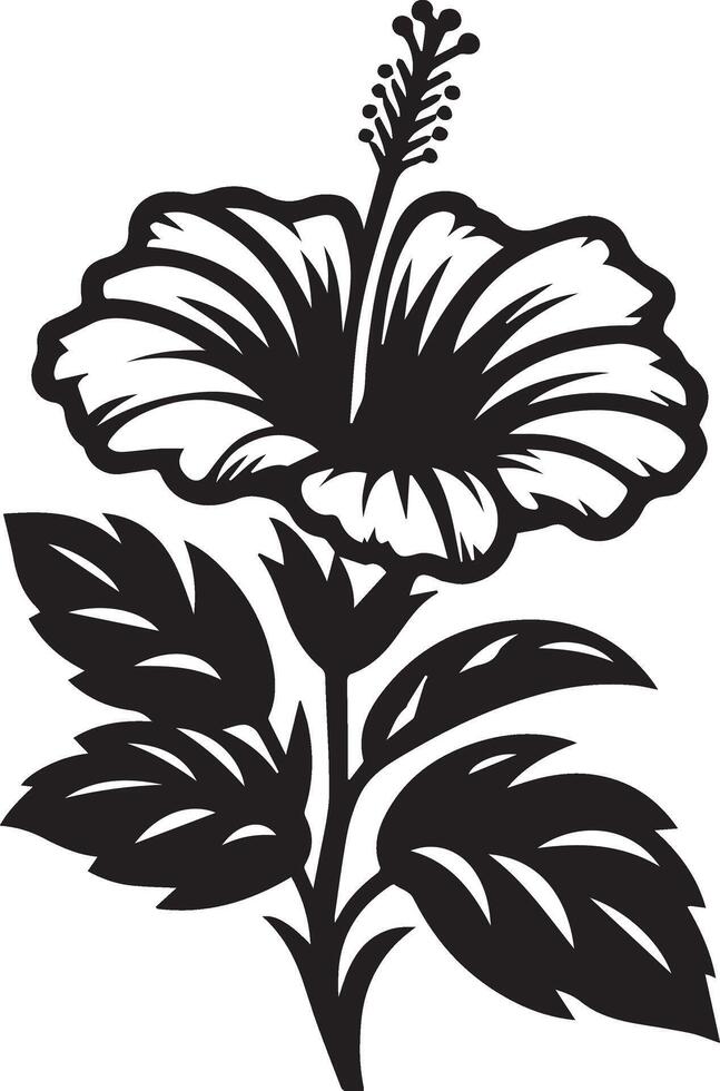 Illustration of white and black hibiscus vector