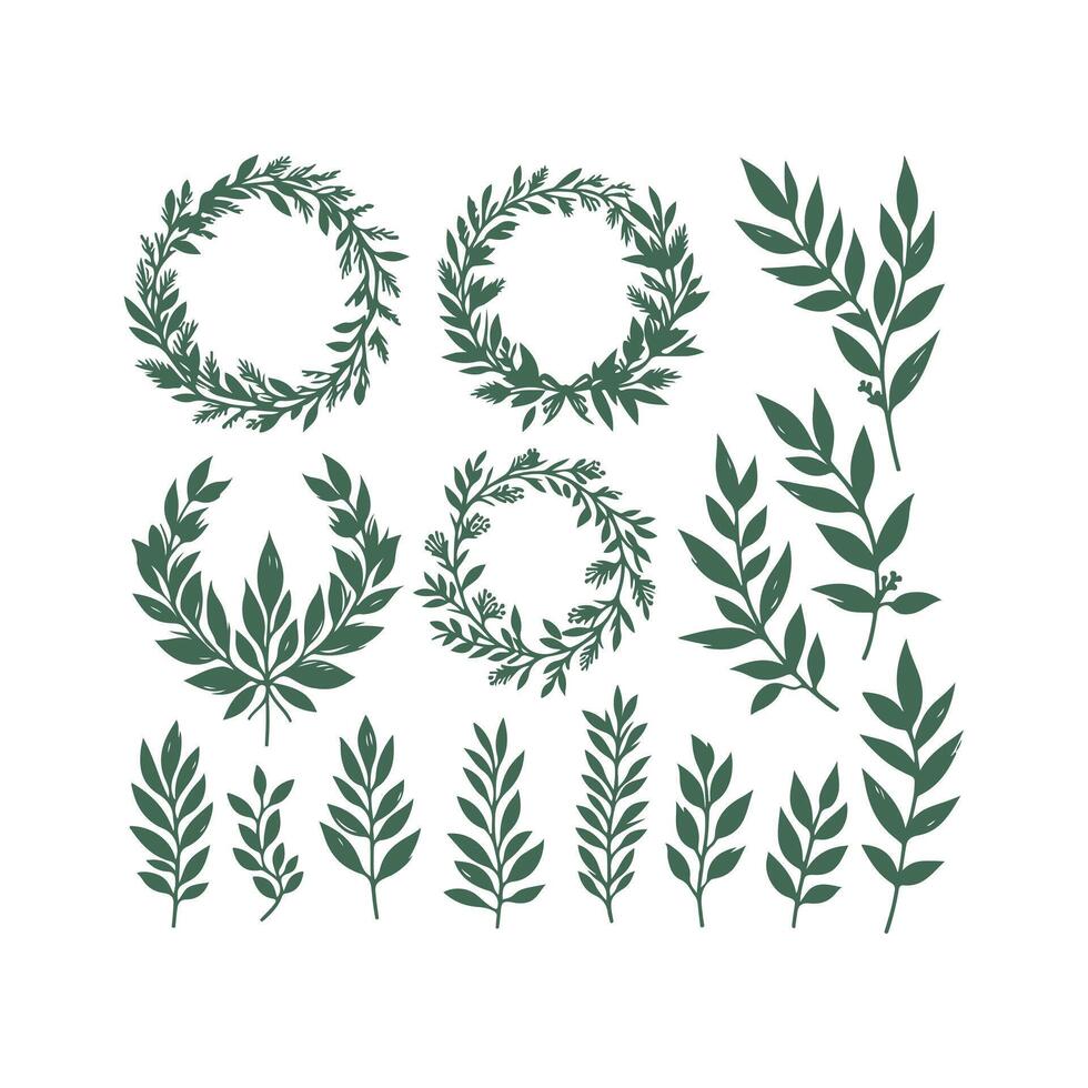Various green leaves and wreaths on a white background vector