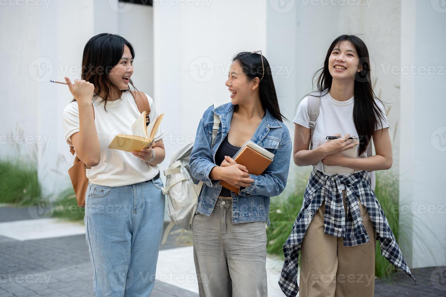 A group of cheerful Asian college students enjoying a conversation while walking in their college. photo