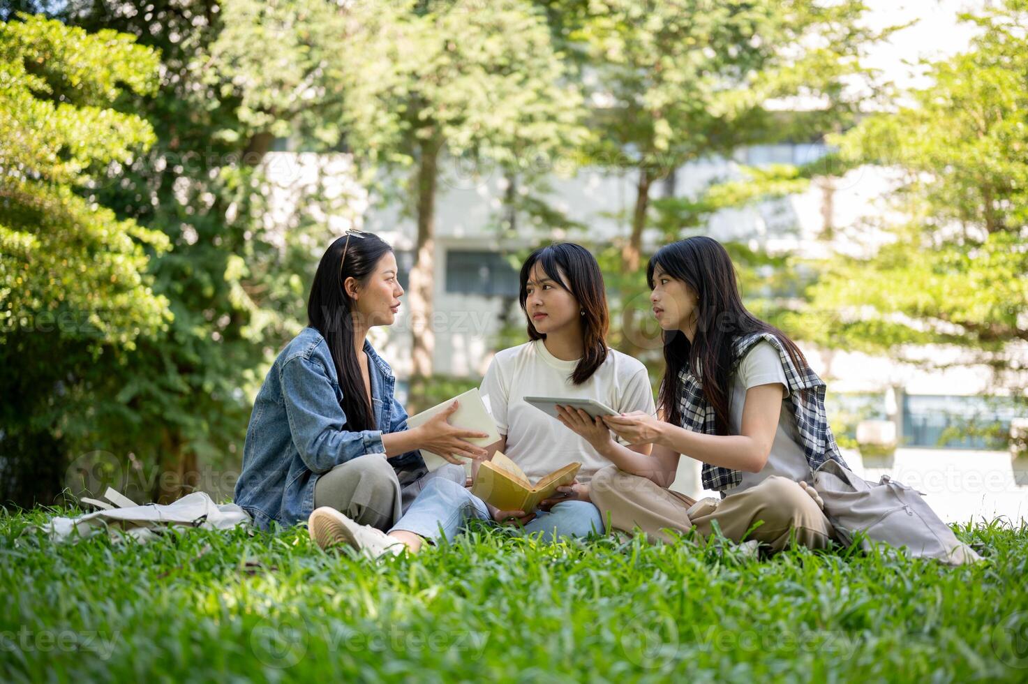 A group of college students sits on the grass in their college campus park, having a conversation. photo