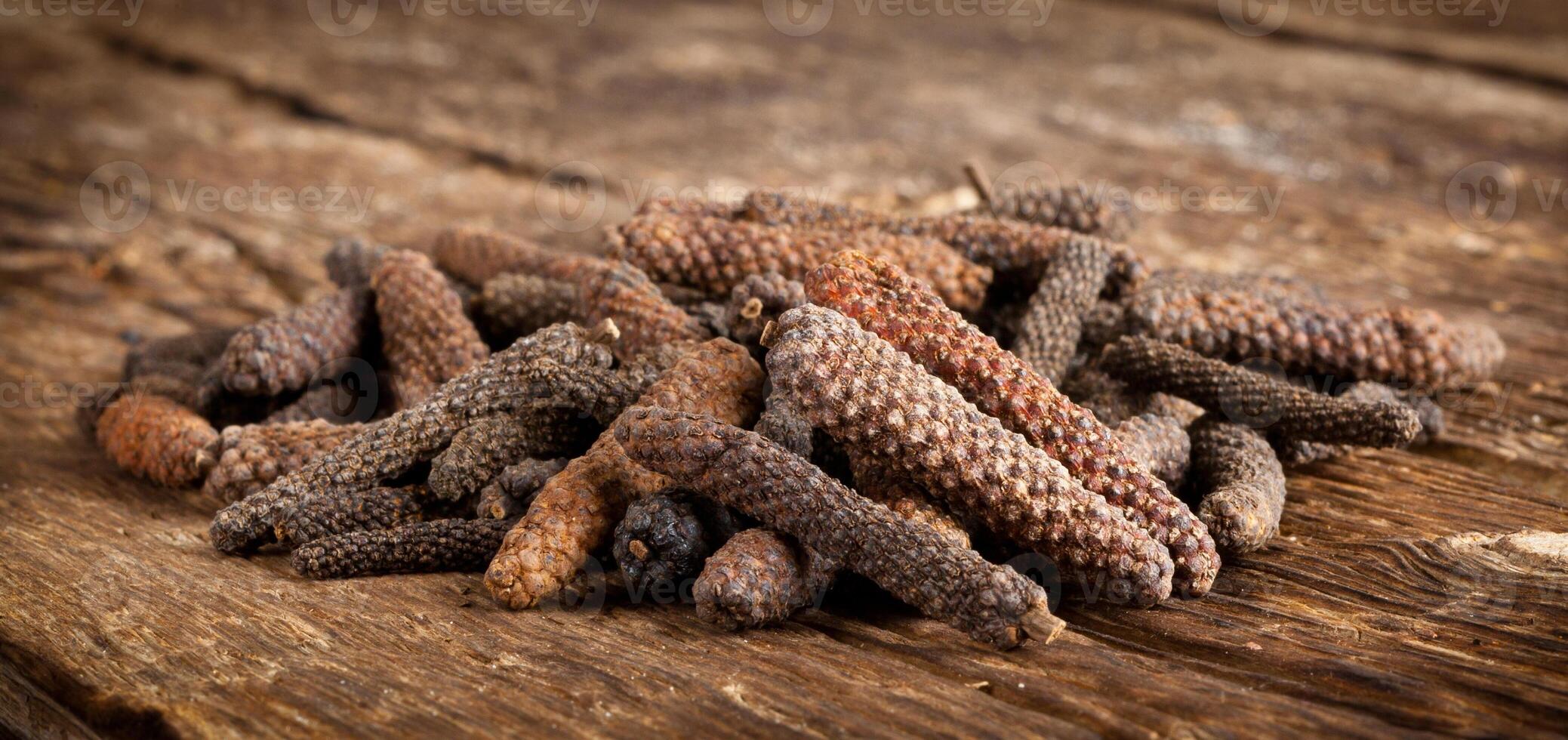Long pepper or Piper longum photo
