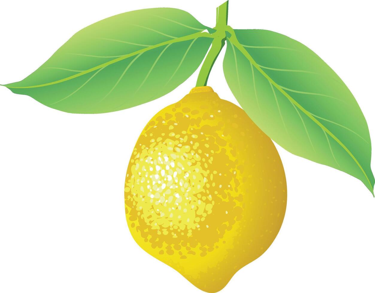 Fresh lemon for good health vector