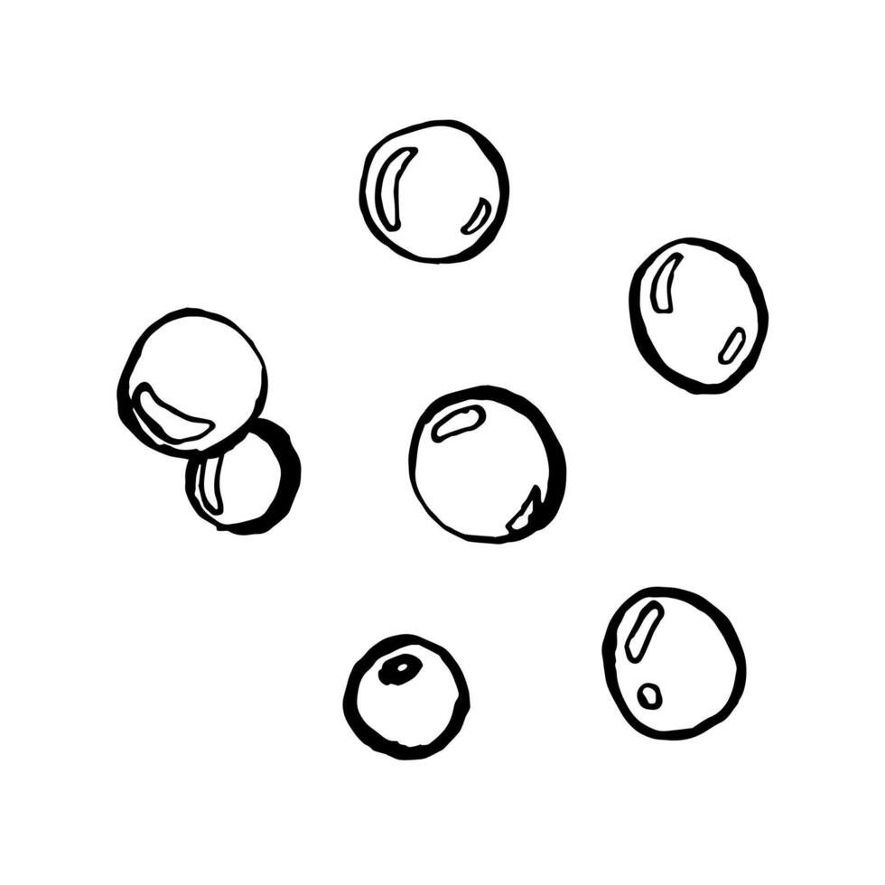 Sketch bubbles. Round bubbles of water in Black and White style. Marine illustration painted by black ink. Stylized graphics. Underwater world line art for design label, postcards vector