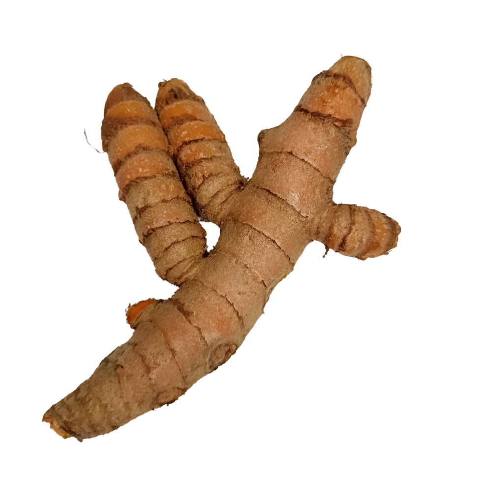 Turmeric isolated on transparent background png