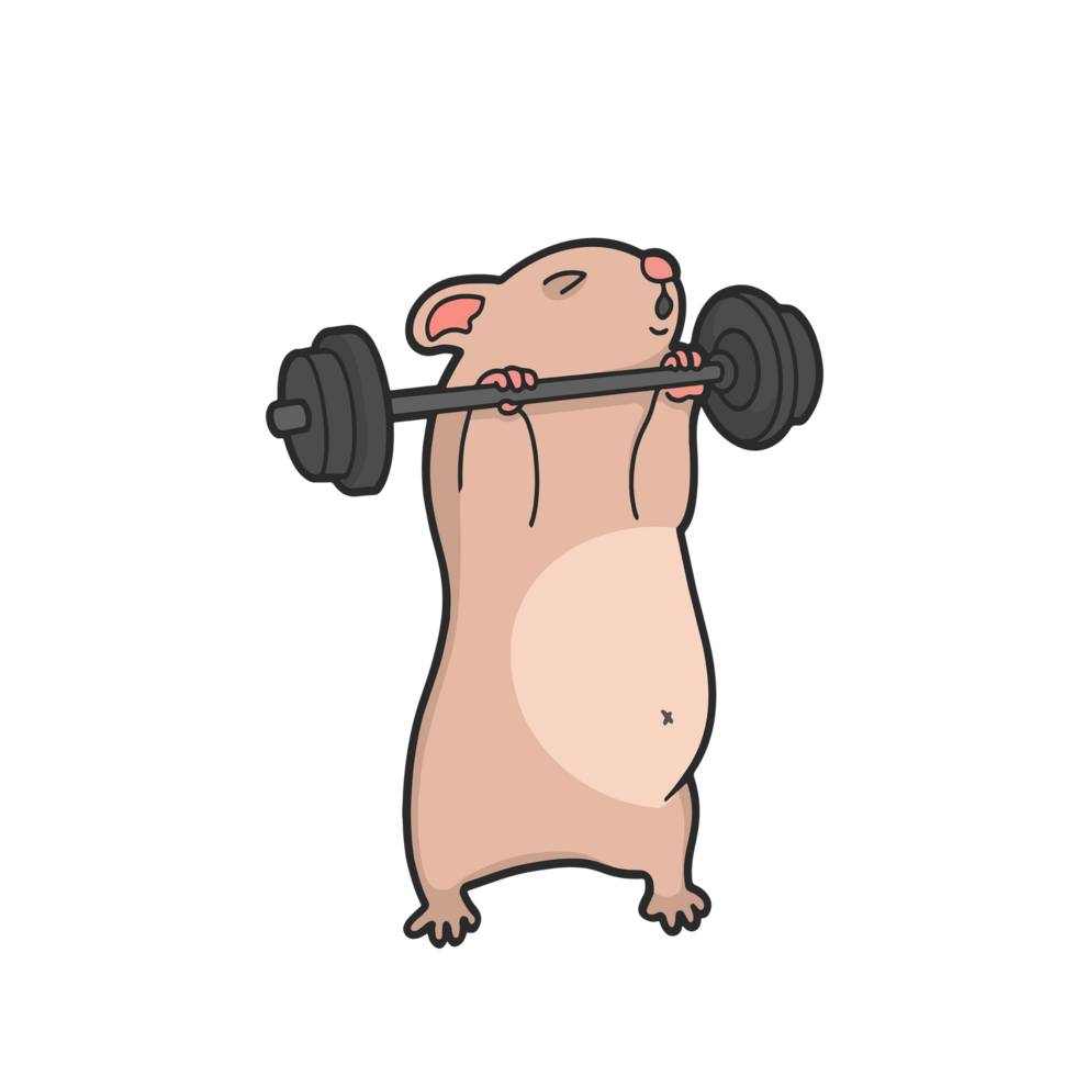 Hamster Gym Bro Meme Sticker T-shirt Transparent Cute Illustration png