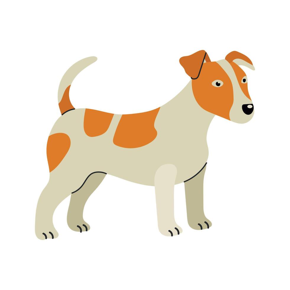 Jack russell terrier icon clipart avatar logotype isolated illustration vector