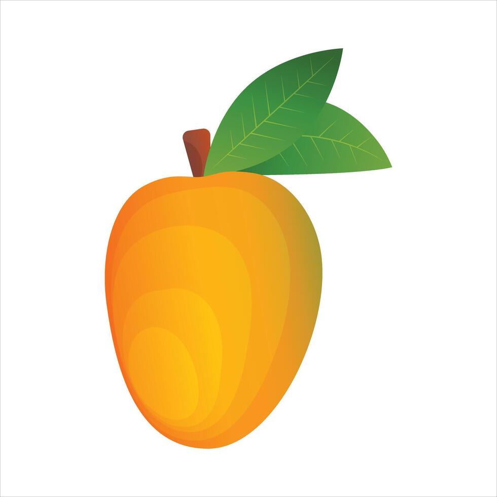 Mango. Botanical watercolor hand drawn illustration. Exotic fruit. Watercolor mango vector