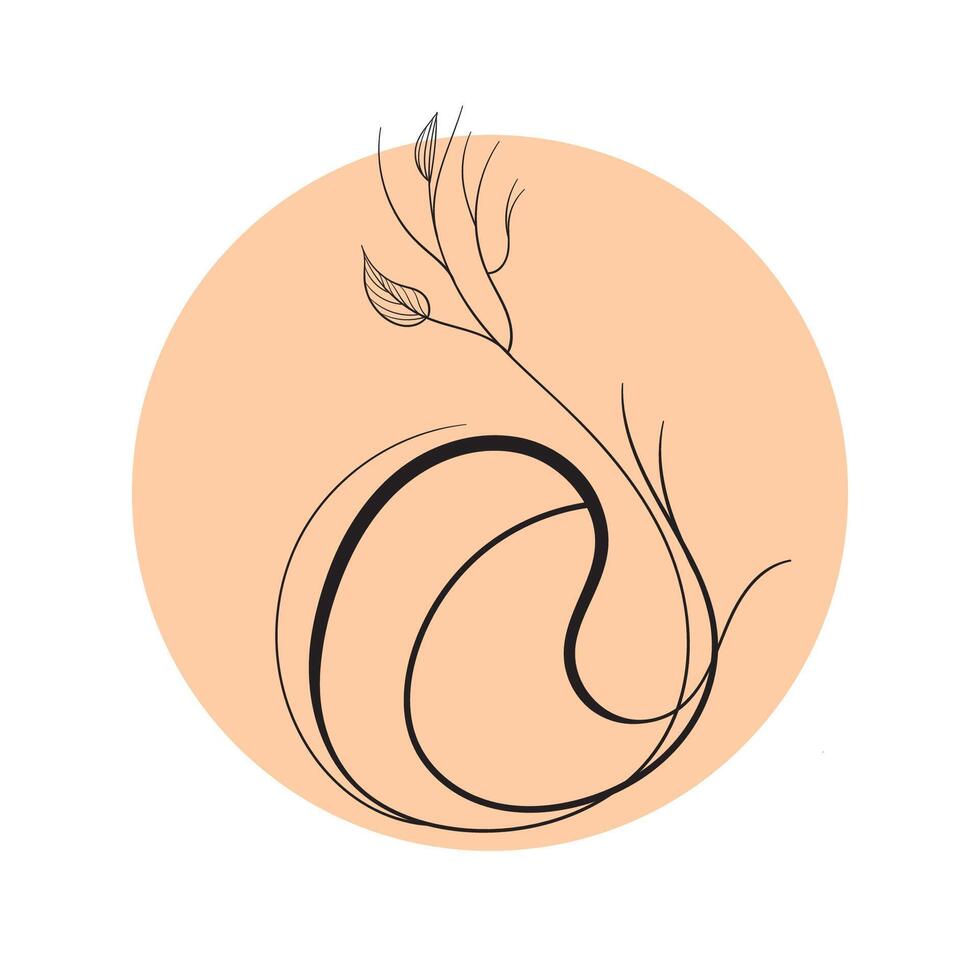 boho floral with circle background. illustration vector