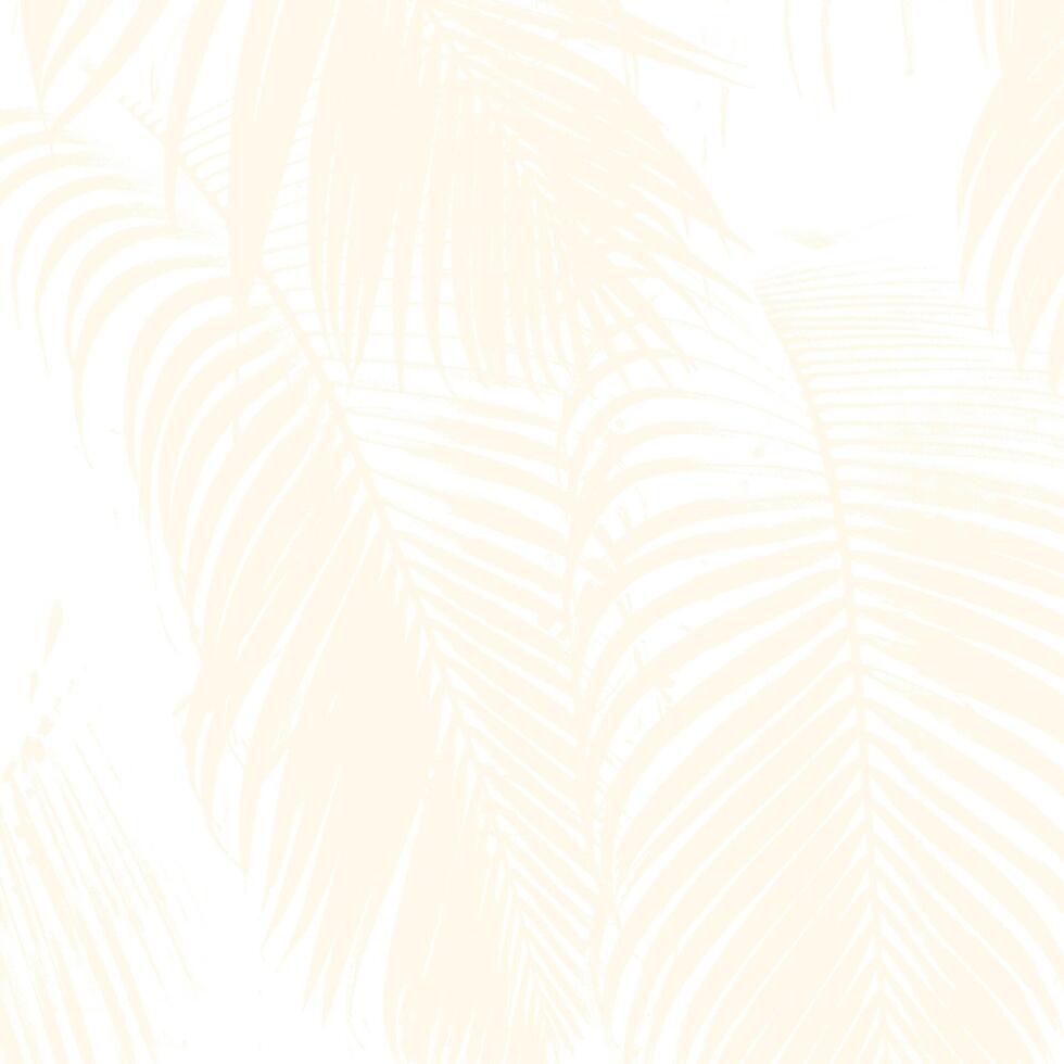 Coconut palm leaf on white background. pattern. vector