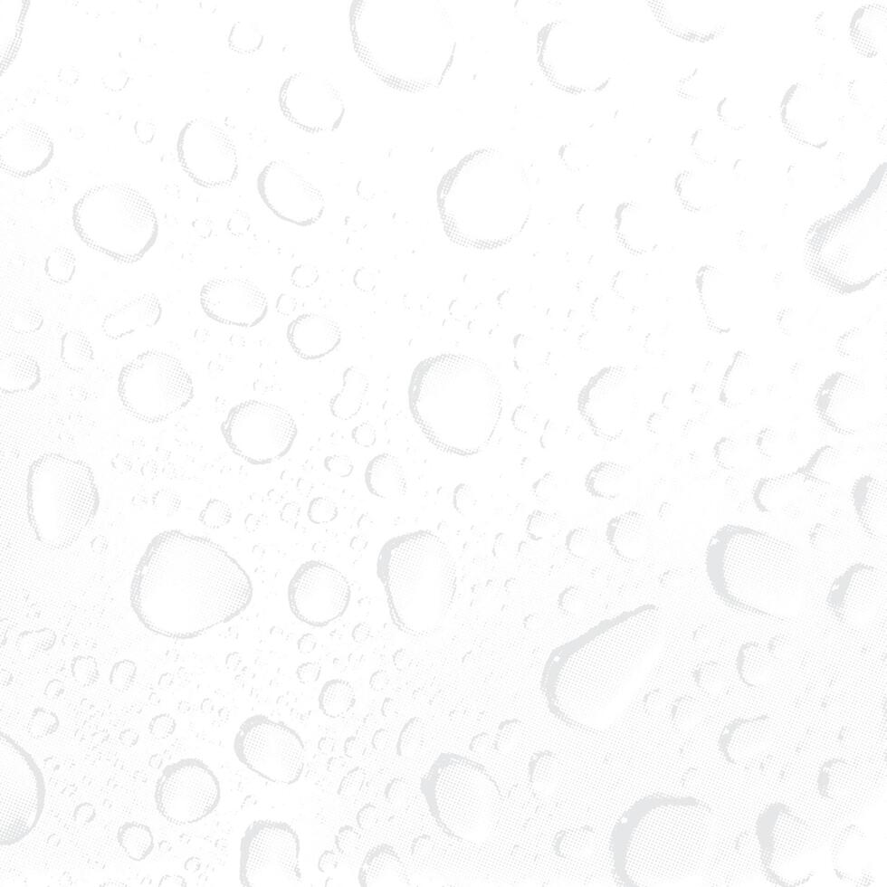 Water drops on white background. Water droplets on white background. vector