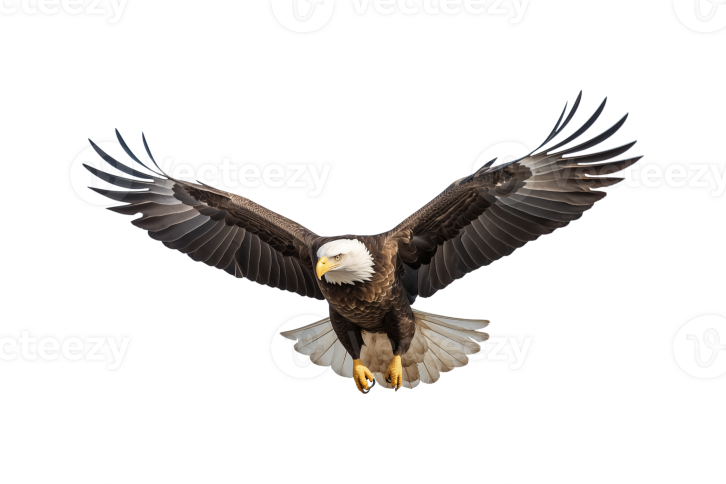 An eagle is flying in the air with its wings spread png