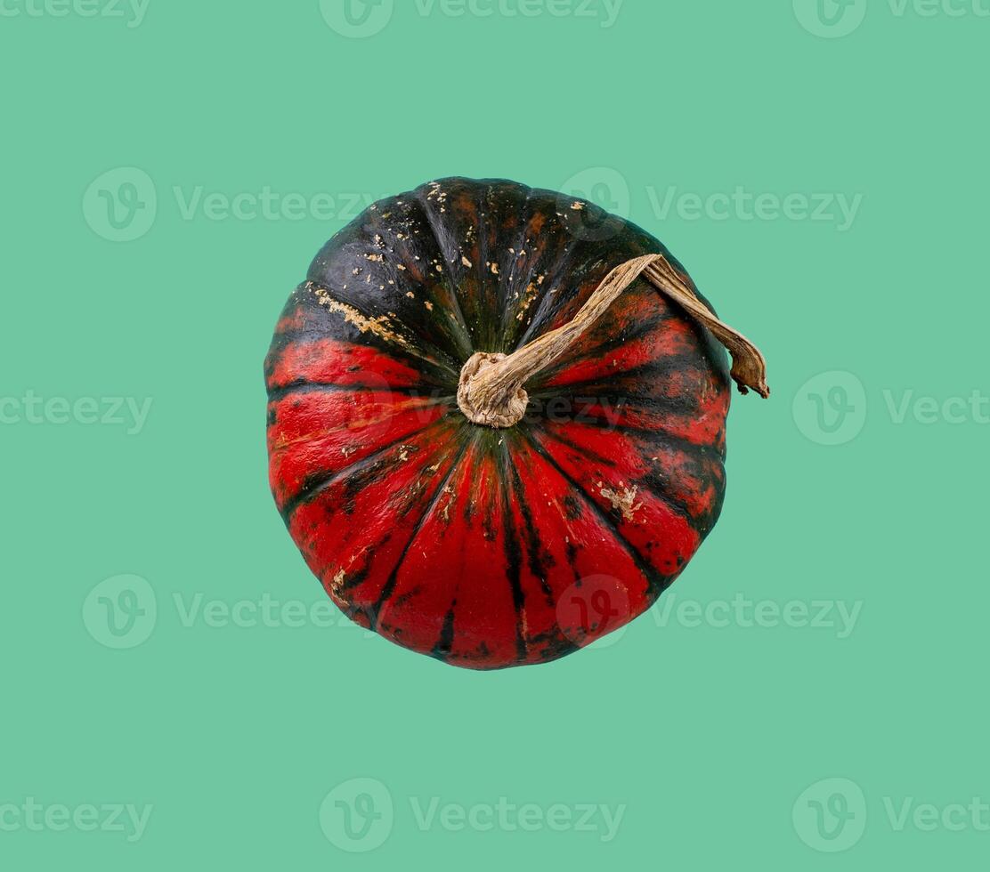 Pumpkin isolated on color background. photo