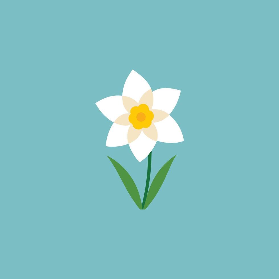 Daffodil illustration isolated on background. vector