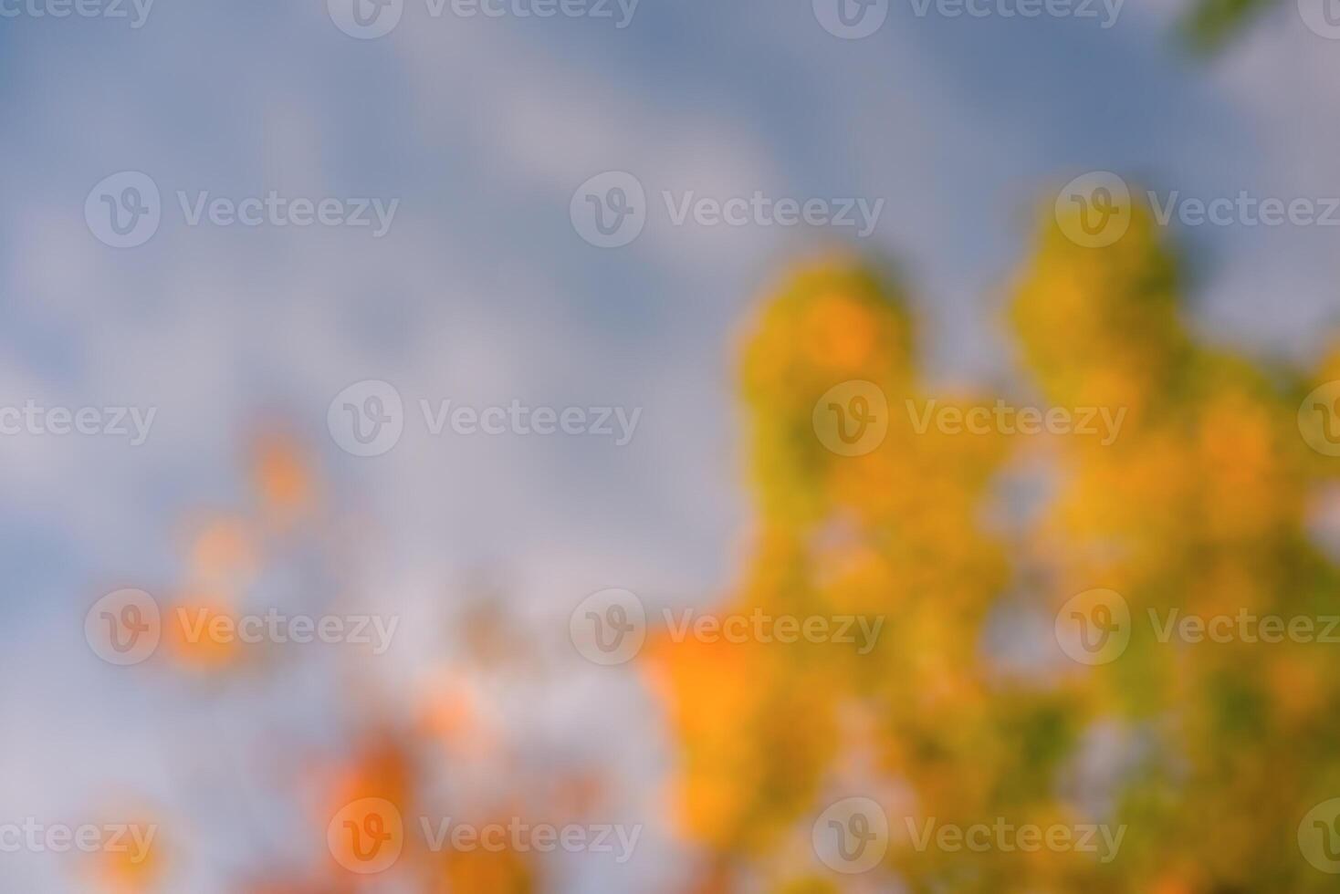 Defocused natural background sky and tree with yellow leaves. Defocus light autumn abstract, bokeh. photo