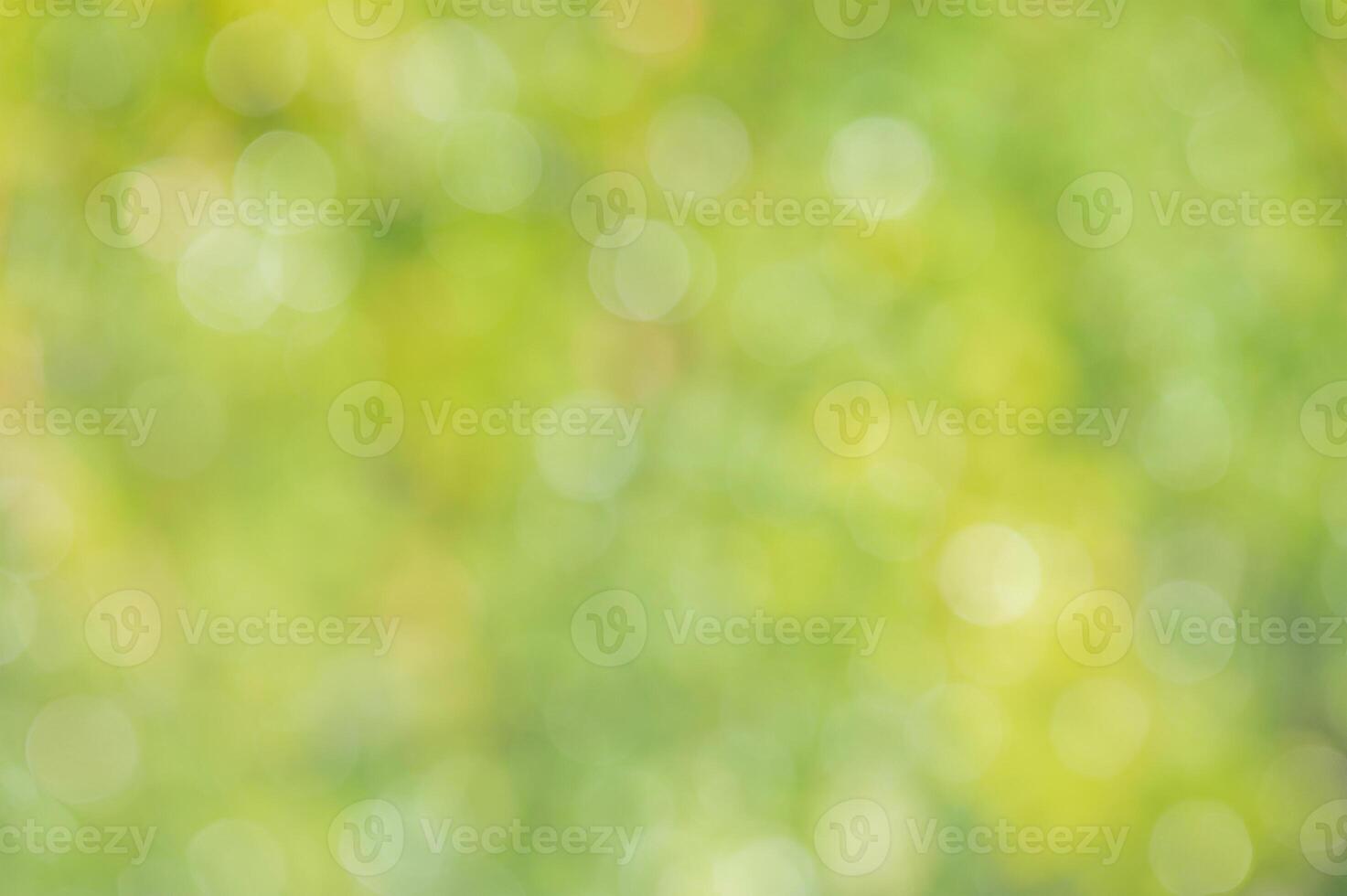 Natural defocus light background. Blurred leaves on trees. photo