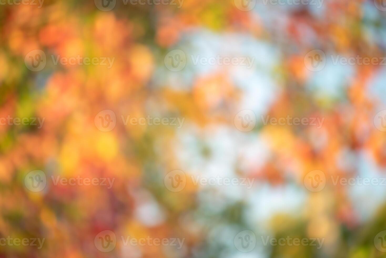 Autumn defocus light background. The blurred leaves of the trees are yellow, red and green photo