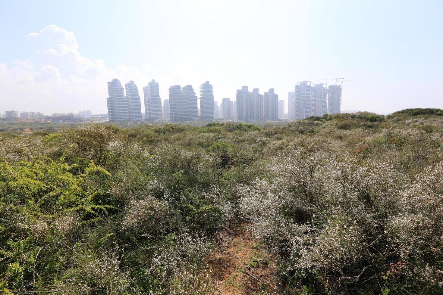 Netanya Israel 08 15 2024 The city is located on the Mediterranean coast photo