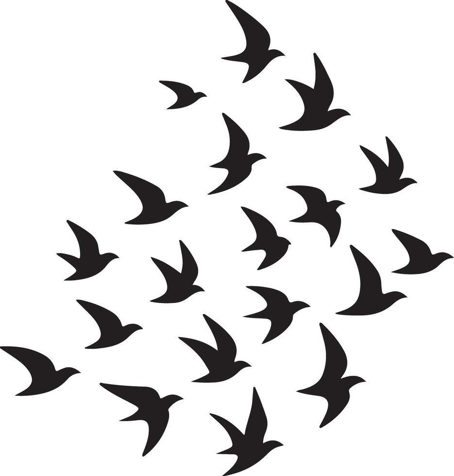 Flock of Birds Flying Together Image vector