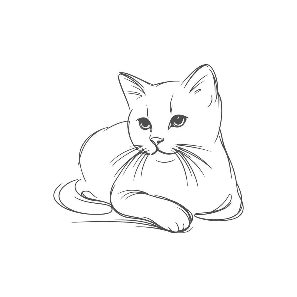 Elegant Minimalist Cat Line Art vector