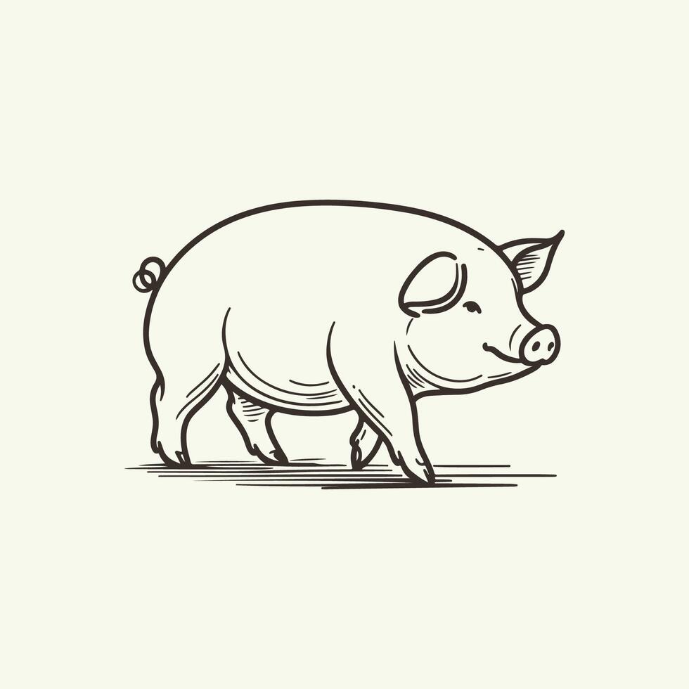 Minimal Line Art Pig Illustration vector