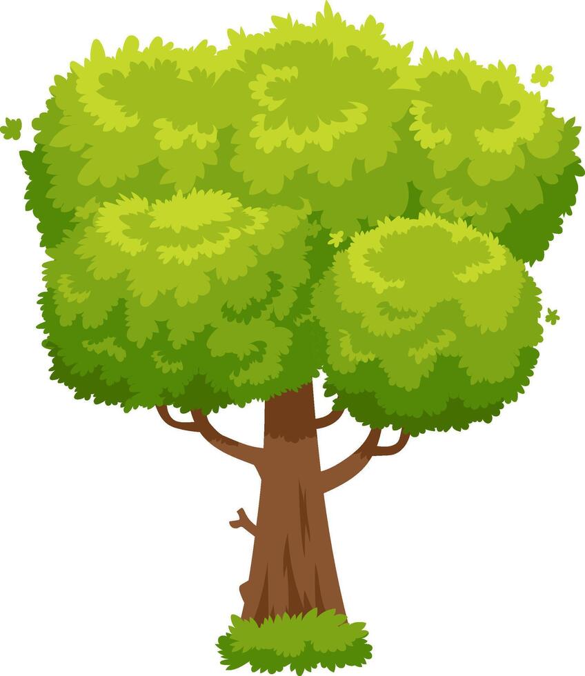Cartoon tree with brown trunk, green leaves and grass at the base, isolated on white background, representing nature, growth, and environmental concepts vector