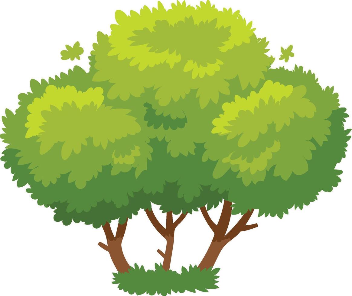 Vibrant green bush with multiple trunks creates a sense of unity and abundance, symbolizing the interconnectedness of nature vector