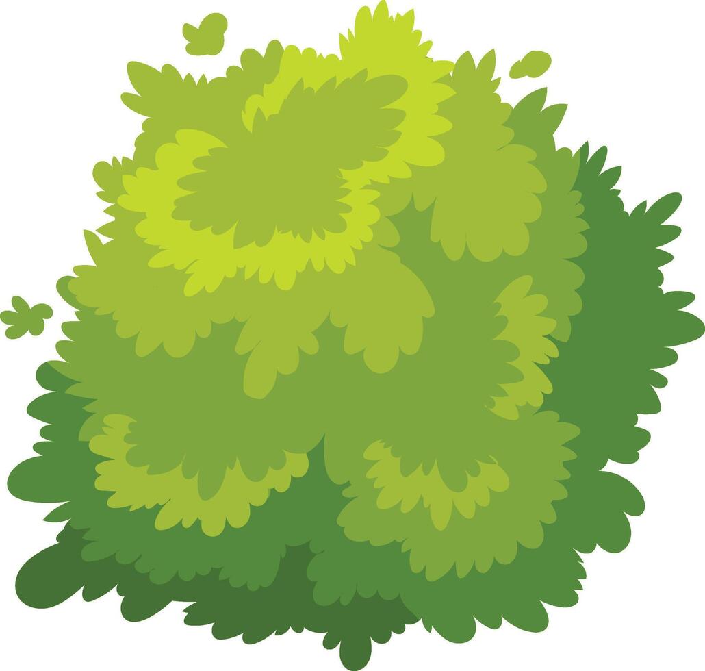 Vibrant green foliage in lush bush evokes natural beauty and tranquility, perfect for adding a touch of nature to designs or evoking feelings of serenity and peace vector