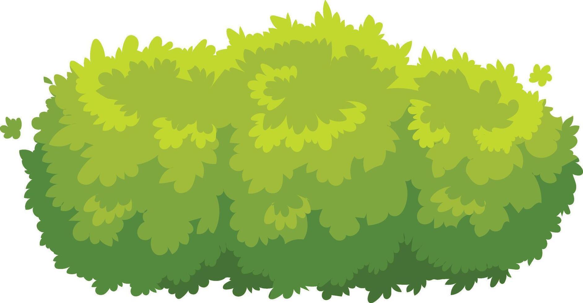 Lush green shrub enhances the natural beauty and defines the vibrant garden space with its lush foliage vector