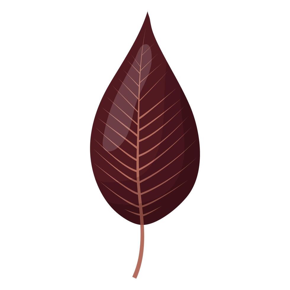 the autumn leaf is burgundy in color vector