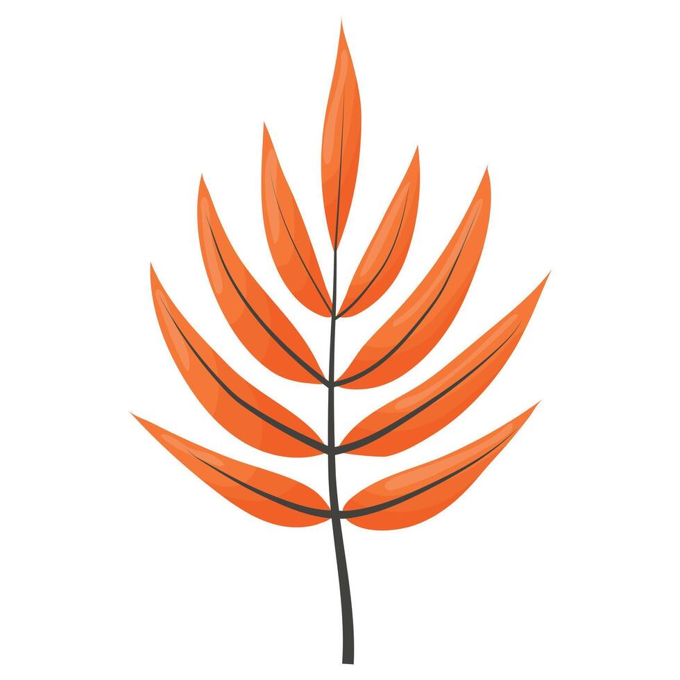 autumn branch with long leaves vector