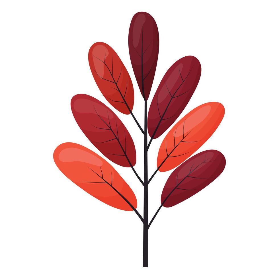 autumn colored bright leaf highlighted vector