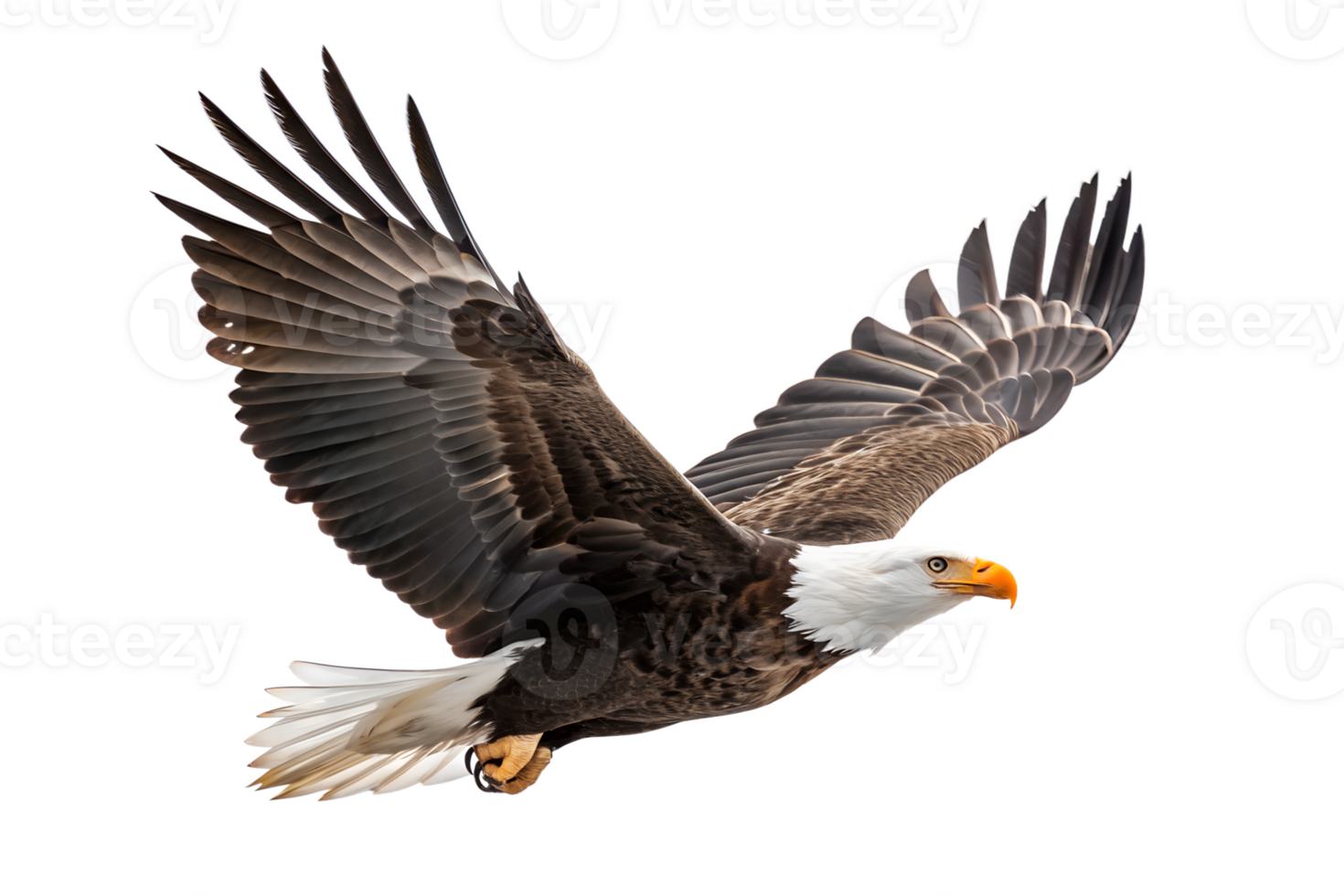 Bald Eagle is spreading its wings and flying isolated on a transparent background png