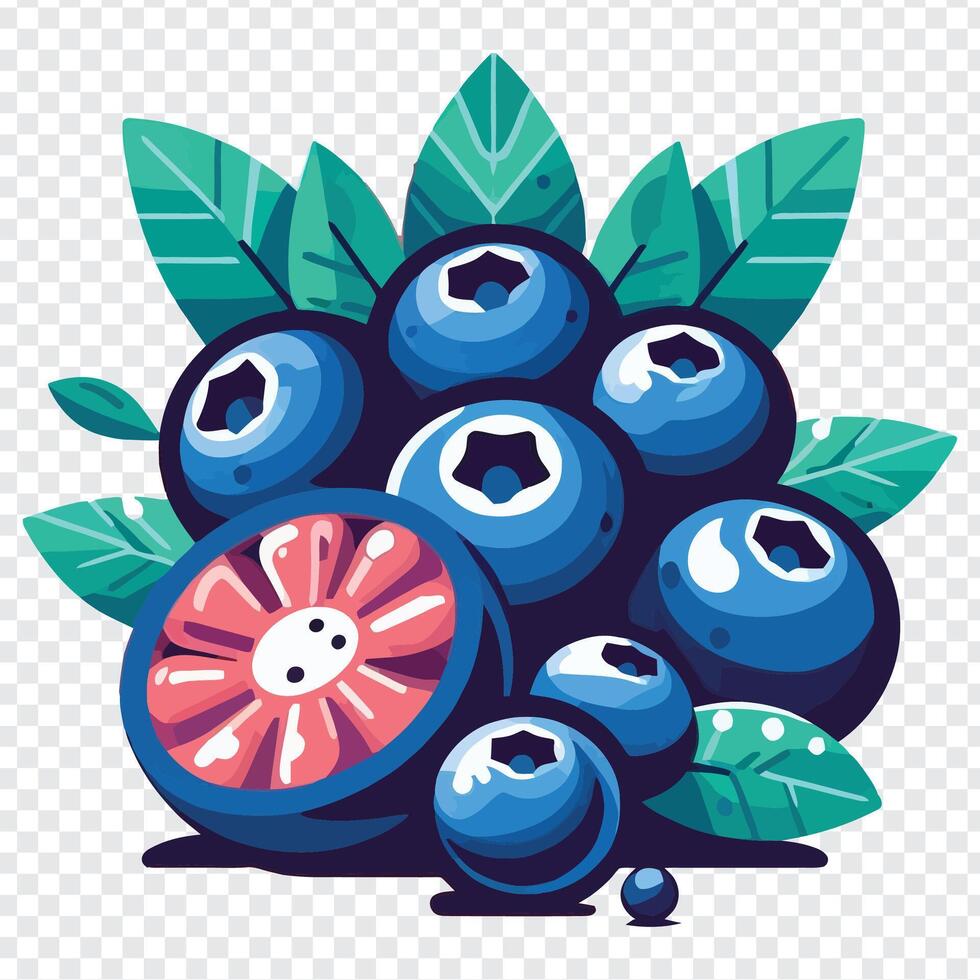 Blueberries with leaves and fruit on transparent background vector