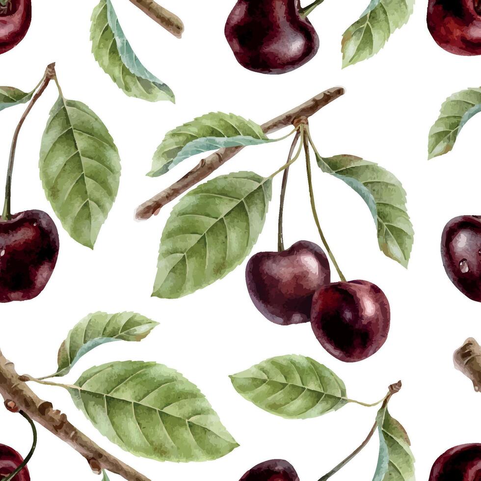 Ripe Sweet Cherry on tree branches. Bunch of cherry berries and leaves. Isolated watercolor seamless surface pattern. Background wallpapers, packaging of goods, tableware textile, scrapbooking vector