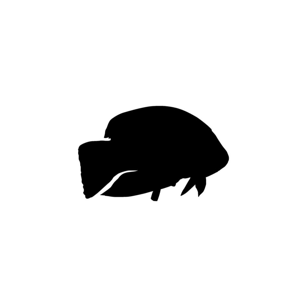 Silhouette of the The Humphead wrasse, Cheilinus undulatus, also known as the Maori wrasse, Napoleon wrasse, Napoleon fish. Flat Style, can use for Logo Gram, Animal Illustration, Pictogram, ect vector