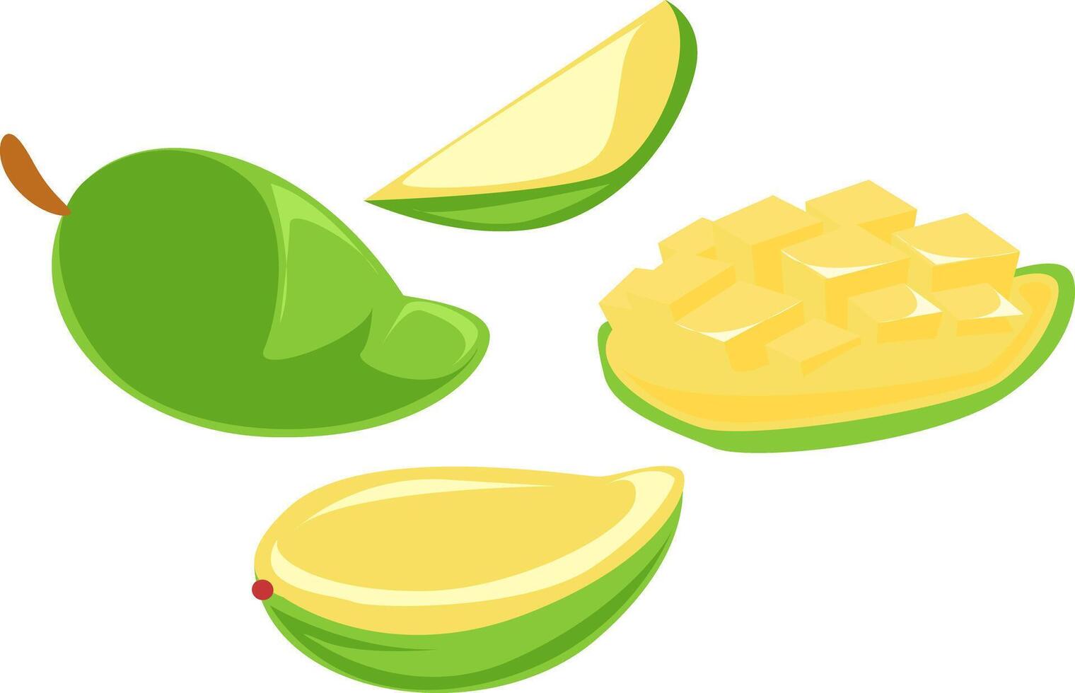 illustration of whole and slice cut green mango vector