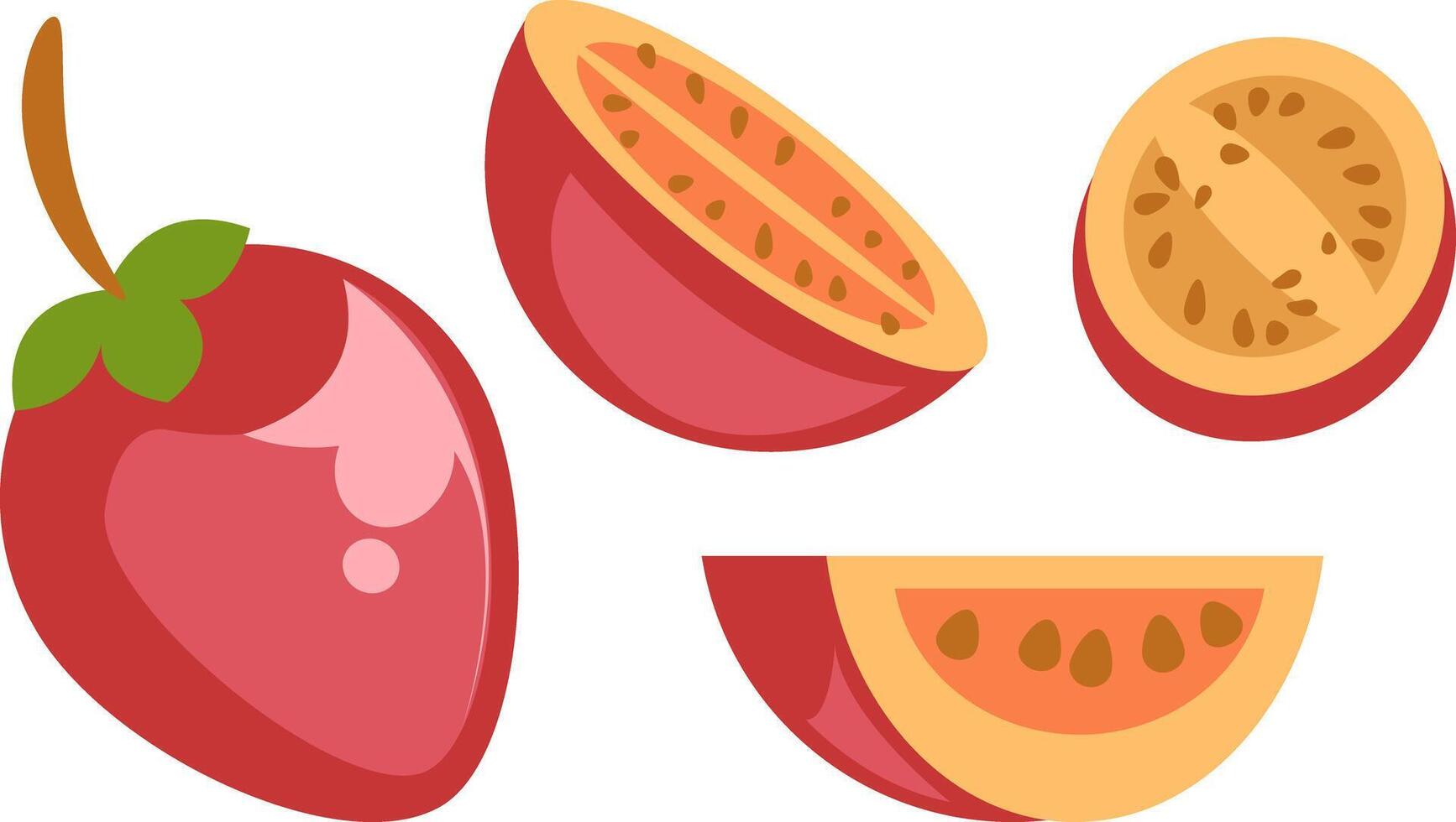 illustration of whole and sliced tamarillo vector