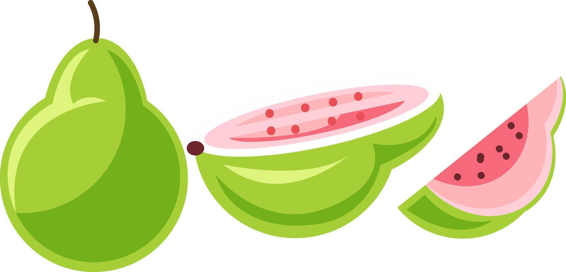 Pink Guava Fruit Illustration Whole and Sliced vector
