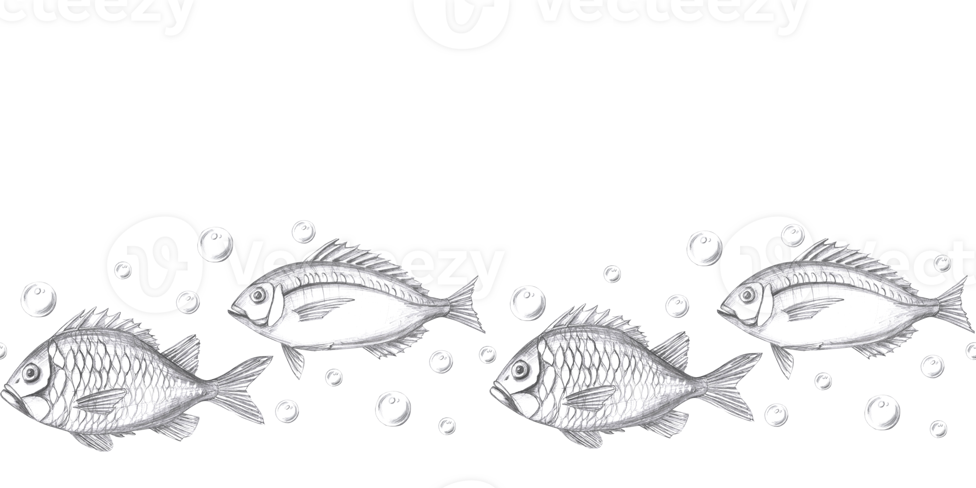 Seamless border with fish and bubbles Isolated pencil graphic illustration for cards, textiles, restaurant decoration, invitations to a sea party, png