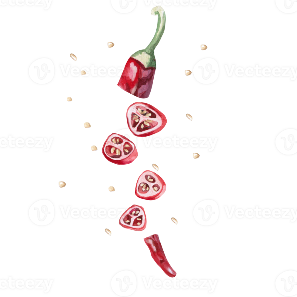 Sliced pepper with seeds. Isolated watercolor illustration of vegetable for kitchenware design, textile, cookbook, restaurant menu png