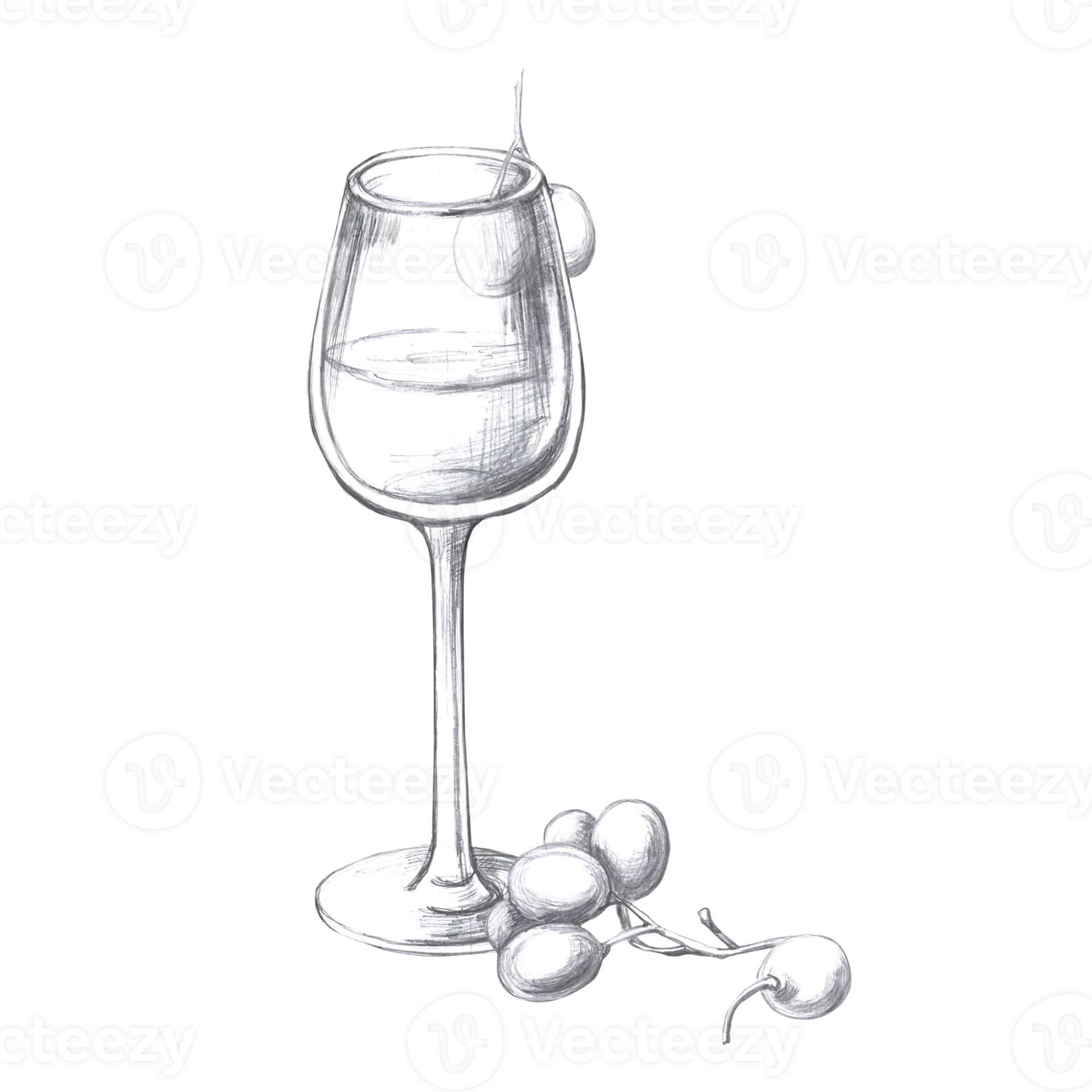 Wine glass with grapes isolated pencil illustration in realistic style