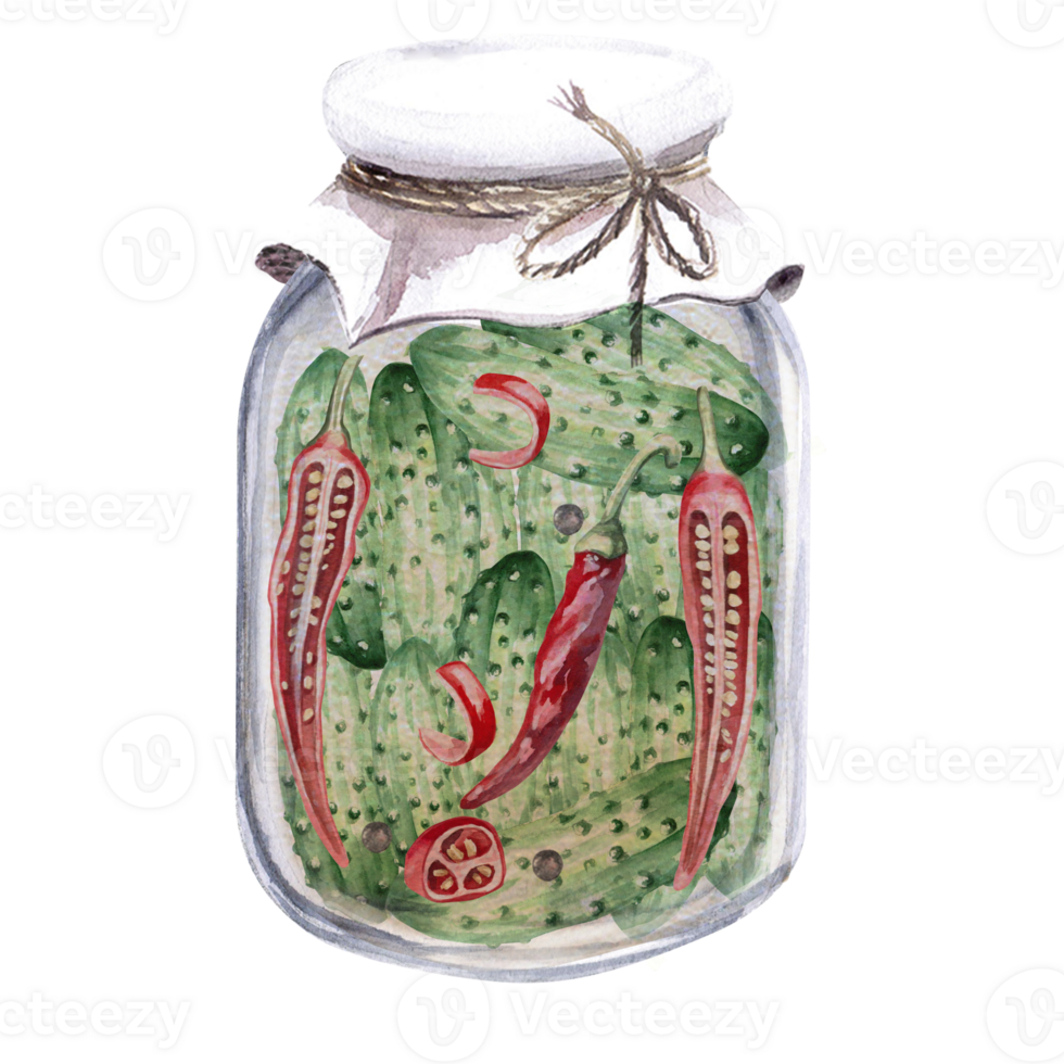 Jar of pickled cucumbers with hot peppers. Hand drawn isolated watercolor illustration of vegetables for tableware design, posters, cookbook illustration png
